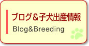 ブログ＆子犬出産情報(Blog&Breeding)